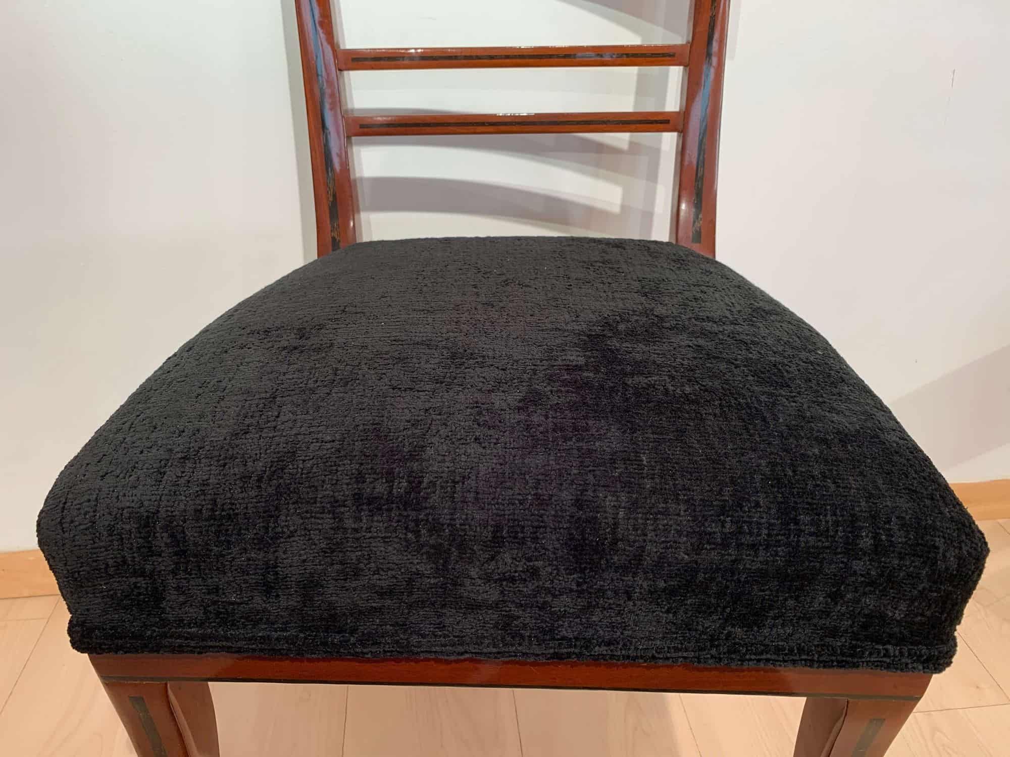 Neoclassical Side Chairs, Mahogany, Ebony, Velvet, Vienna, circa 1820 - Image 11